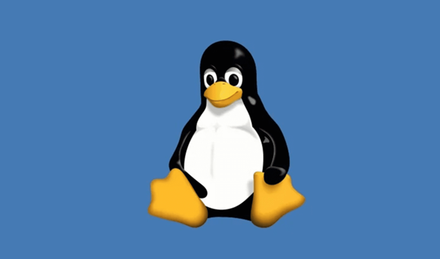 ช่องโหว่ใน KVM ทำระบบ Linux Host ล่มได้